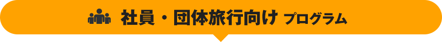 社員向けプログラム